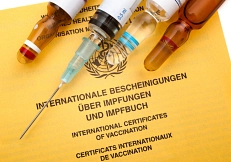 Impfbuch Internationale Bescheinigung © Landkreis Diepholz