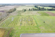 Luftbild der Torfmoosfarm in Barver (vorne) mit der Erweiterungsfläche (Hintergrund). Foto: Stiftung Naturschutz im Landkreis Diepholz