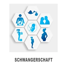 Schwangerschaft FD 53 Logo © Landkreis Diepholz